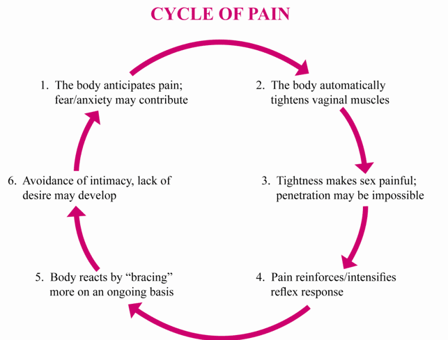 Vaginismus - Cycle of Pain