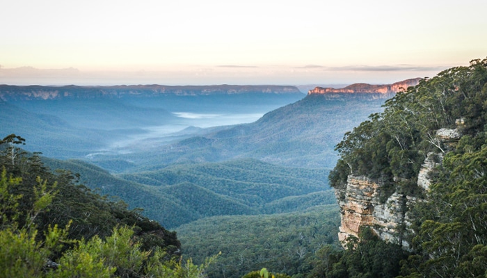 Mindful Perspectives