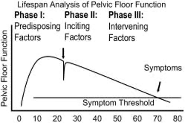 Lifetime Analysis Pelvic Floor Function