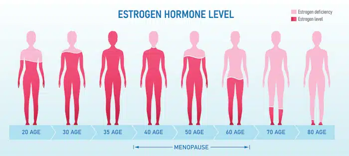 Menopause & Declining Oestrogen Levels