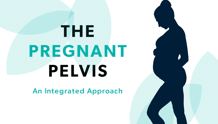 The Pregnant Pelvis - An Integrated Approach